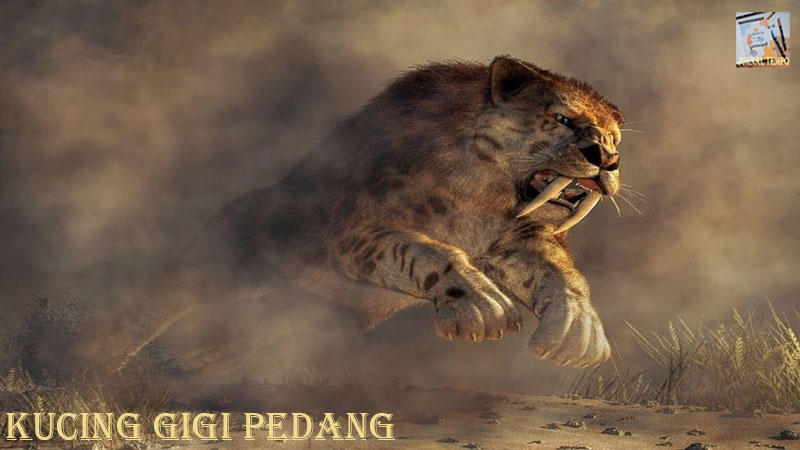 Kucing Gigi Pedang Dalam Sejarah Berumur 35 Ribu Tahun