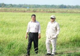 Mentan Tinjau Sawah yang Dikunjungi Prabowo di Merauke