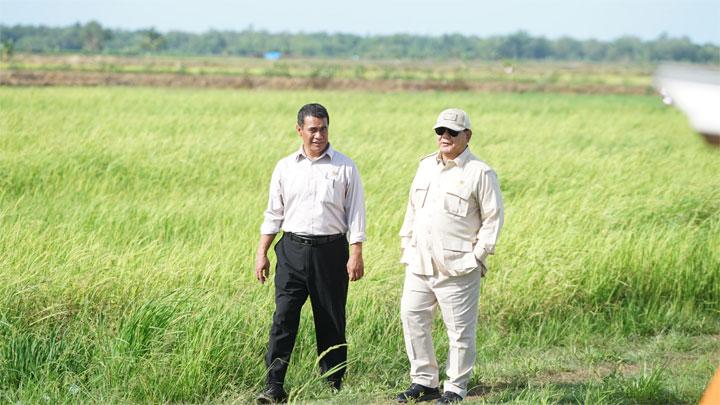 Mentan Tinjau Sawah yang Dikunjungi Prabowo di Merauke