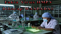 Fakta Virus HMPV: Jurnal Tempo Menghimbau Agar Waspada