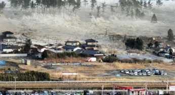 Gempa dan Tsunami di Jepang: Miyazaki dan Kochi dalam Siaga