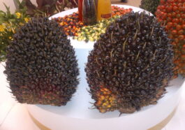 Industri kelapa sawit