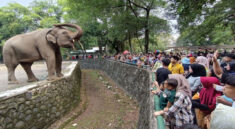 Kebun Binatang Ragunan, Kelas Alam Terbuka yang Edukatif untuk Anak-anak