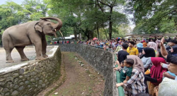 Kebun Binatang Ragunan, Kelas Alam Terbuka yang Edukatif untuk Anak-anak