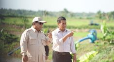 Prabowo Murka soal Beras Oplosan dan Ancaman Sita Penggilingan