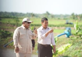 Prabowo Murka soal Beras Oplosan dan Ancaman Sita Penggilingan