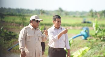 Prabowo Murka soal Beras Oplosan dan Ancaman Sita Penggilingan