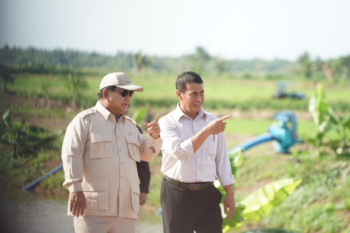 Prabowo Murka soal Beras Oplosan dan Ancaman Sita Penggilingan
