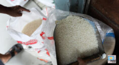 Harga Beras Naik di 200 Daerah, Ada yang Sentuh Rp60 Ribu per Kg