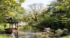 Daftar Beasiswa Kuliah Gratis S1-S2 ke Korea Selatan dengan Tunjangan Melimpah