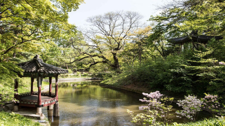 Daftar Beasiswa Kuliah Gratis S1-S2 ke Korea Selatan dengan Tunjangan Melimpah