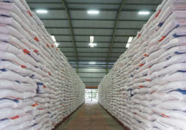 Bapanas Ungkap 29 Ribu Ton Beras Bulog Turun Mutu, 1,45 Juta Ton Masih Menumpuk di Gudang