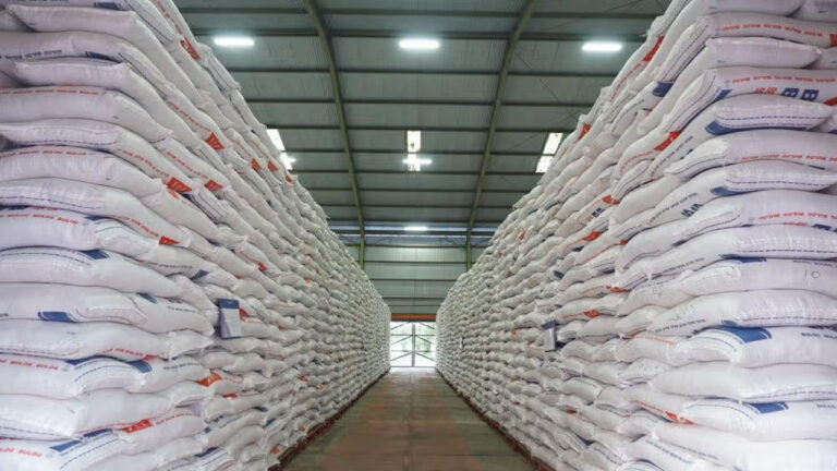 Bapanas Ungkap 29 Ribu Ton Beras Bulog Turun Mutu, 1,45 Juta Ton Masih Menumpuk di Gudang