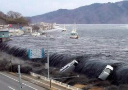 Hilang Sejak Tsunami 2011, Kerangka Anak Perempuan 6 Tahun Ditemukan Setelah 14 Tahun