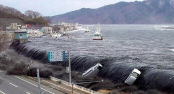 Hilang Sejak Tsunami 2011, Kerangka Anak Perempuan 6 Tahun Ditemukan Setelah 14 Tahun