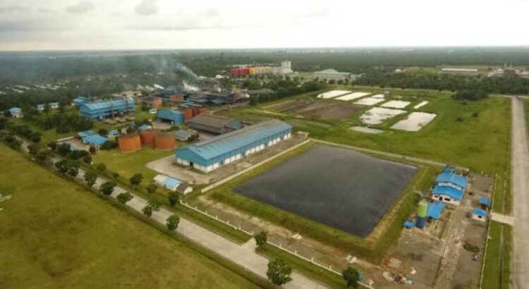 Dari Limbah Sawit Menjadi Cahaya,Kisah PLTBg Sei Mangkei yang Mengubah Gas Buangan Jadi Listrik Hijau