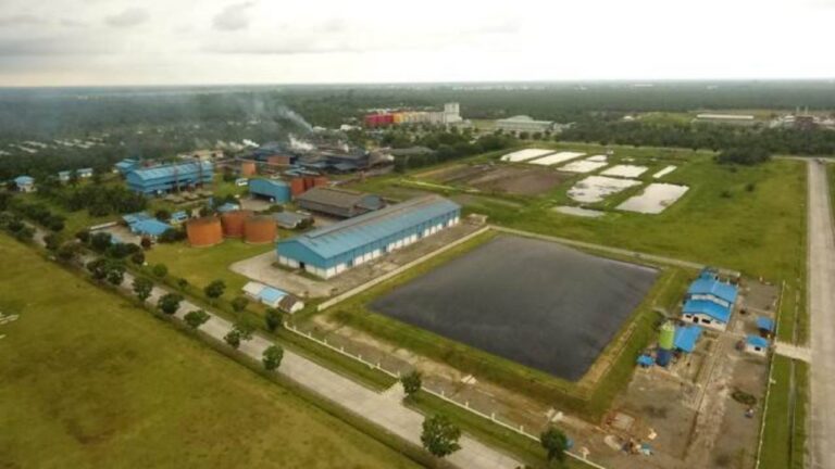 Dari Limbah Sawit Menjadi Cahaya,Kisah PLTBg Sei Mangkei yang Mengubah Gas Buangan Jadi Listrik Hijau