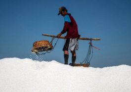 Menapaki Langkah Swasembada Garam: Membangun Harapan dari Selatan RI