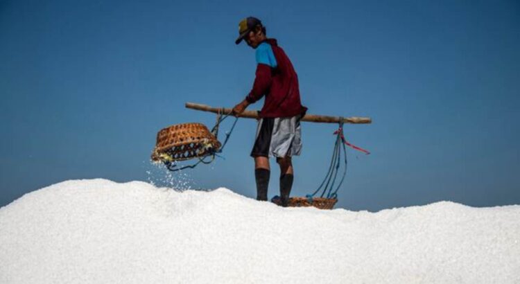 Menapaki Langkah Swasembada Garam: Membangun Harapan dari Selatan RI