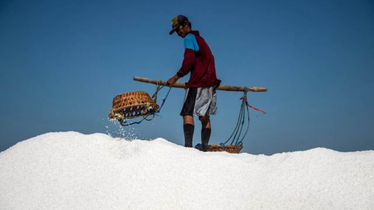 Menapaki Langkah Swasembada Garam: Membangun Harapan dari Selatan RI