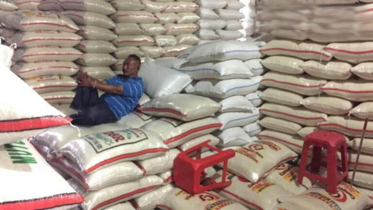 Kebutuhan MBG Menguat, Pemerintah Kerek Cadangan Jagung Nasional hingga 1 Juta Ton