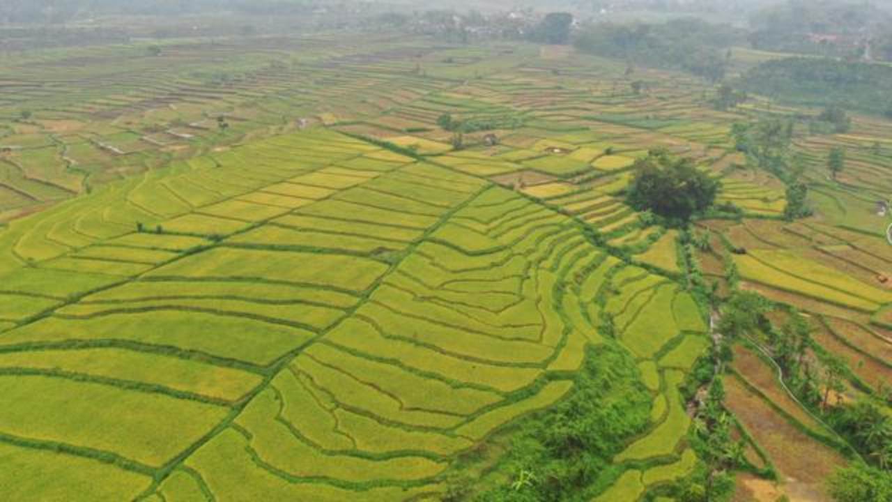 Bill Gates Kuasai 1 dari 4.000 Hektar Lahan Pertanian AS, Ini Alasan Miliarder Teknologi Melirik Investasi Agrikultur
