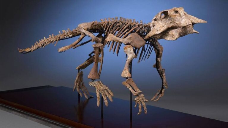 Jurassic Park" Jadi Nyata? Peneliti Swedia Berhasil Menghidupkan Kembali Dunia Dinosaurus Lewat Sains