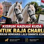 Kisruh Hadiah Kuda Raja Charles, Hongaria Sempat Meminta Kembali